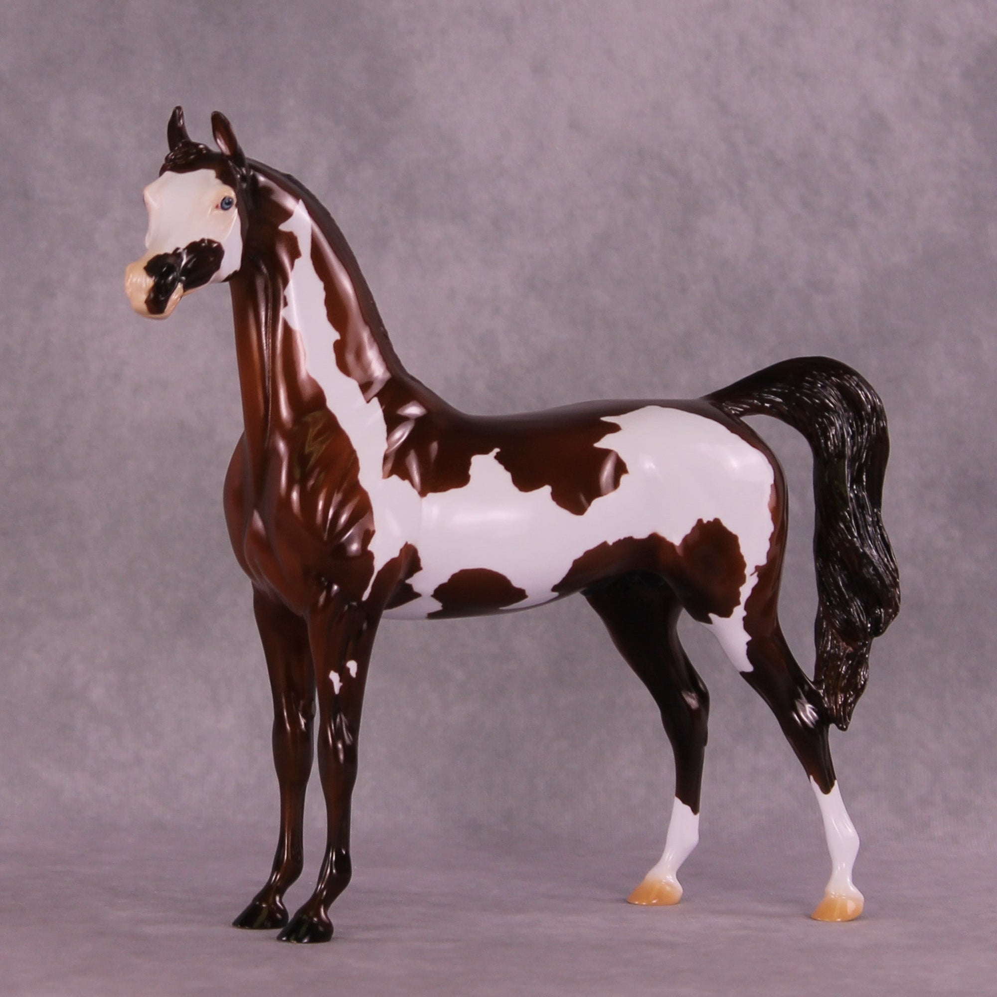 Can&#39;t Go Back OOAK Arabian Stallion by Erin Corbett MM25 Group C