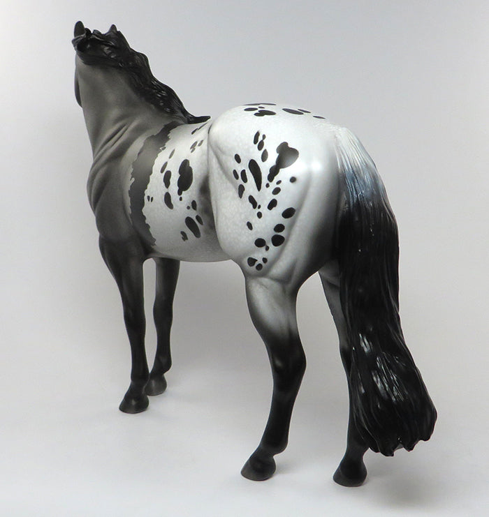 appaloosa 