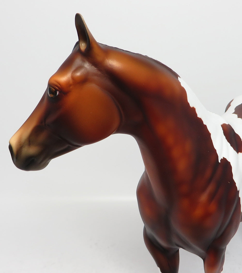 CARBON COPY-LE-3 BAY PINTO ISH MODEL HORSE MM 2017