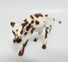SPOTS