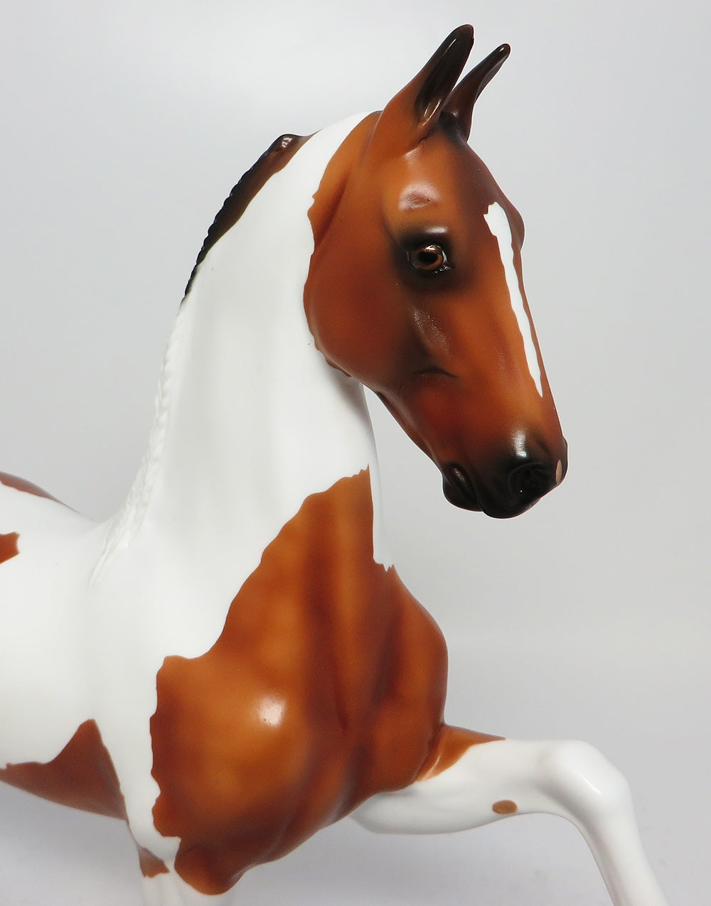 CARNEGIE HALL LE-5 BAY PINTO WITH BRAIDED MANE AND TAIL EQ 2017