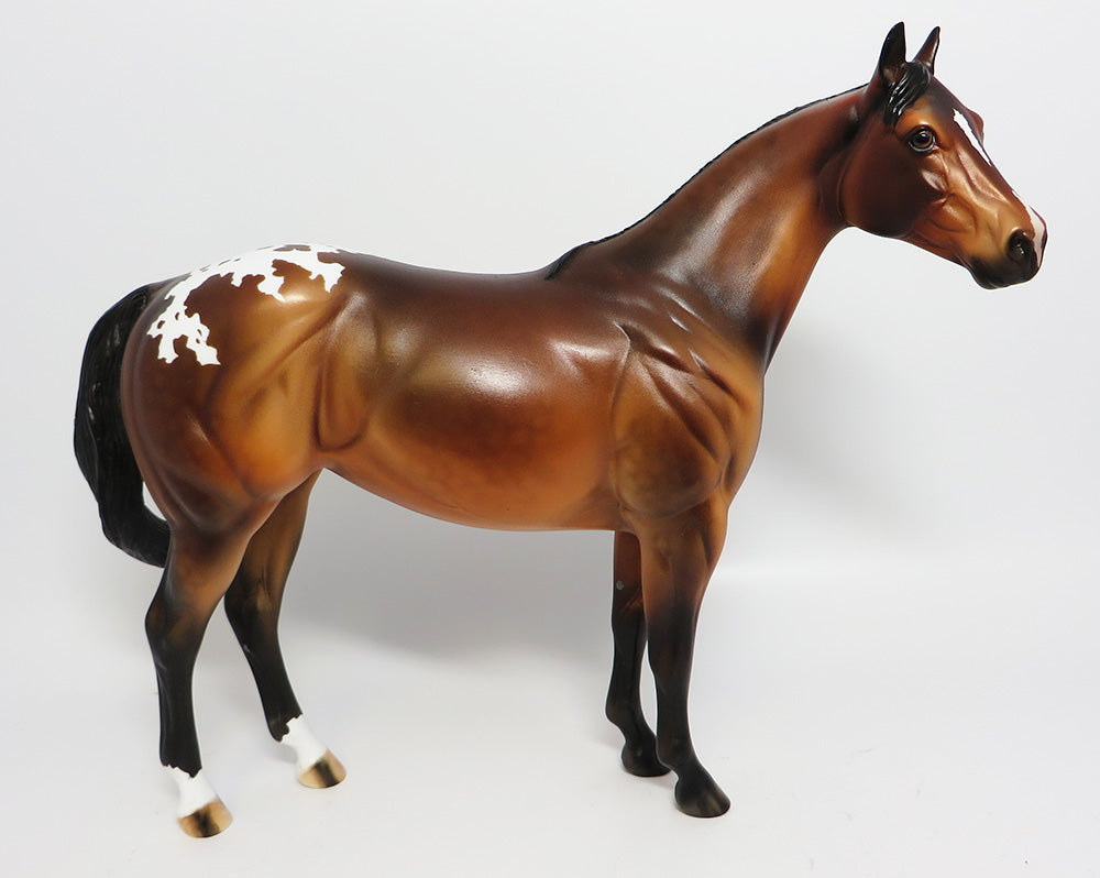 cayuga~ooak dapple bay blanket appaloosa ish model horse EQ 2017