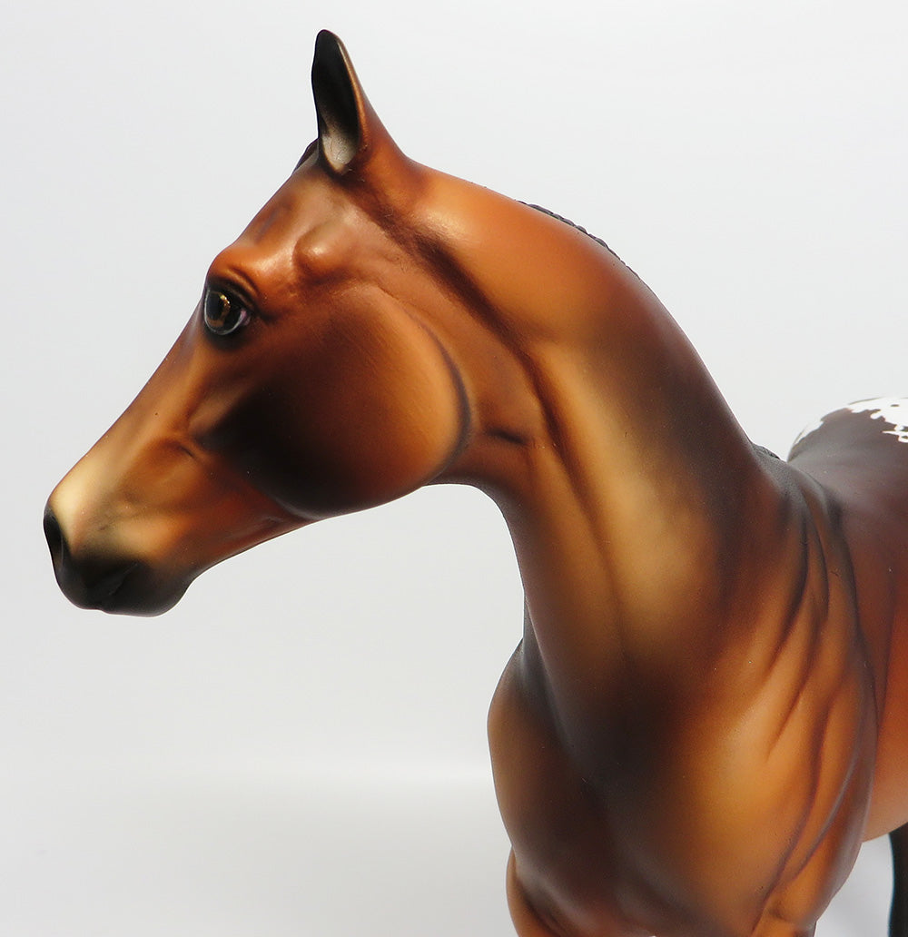 cayuga~ooak dapple bay blanket appaloosa ish model horse EQ 2017