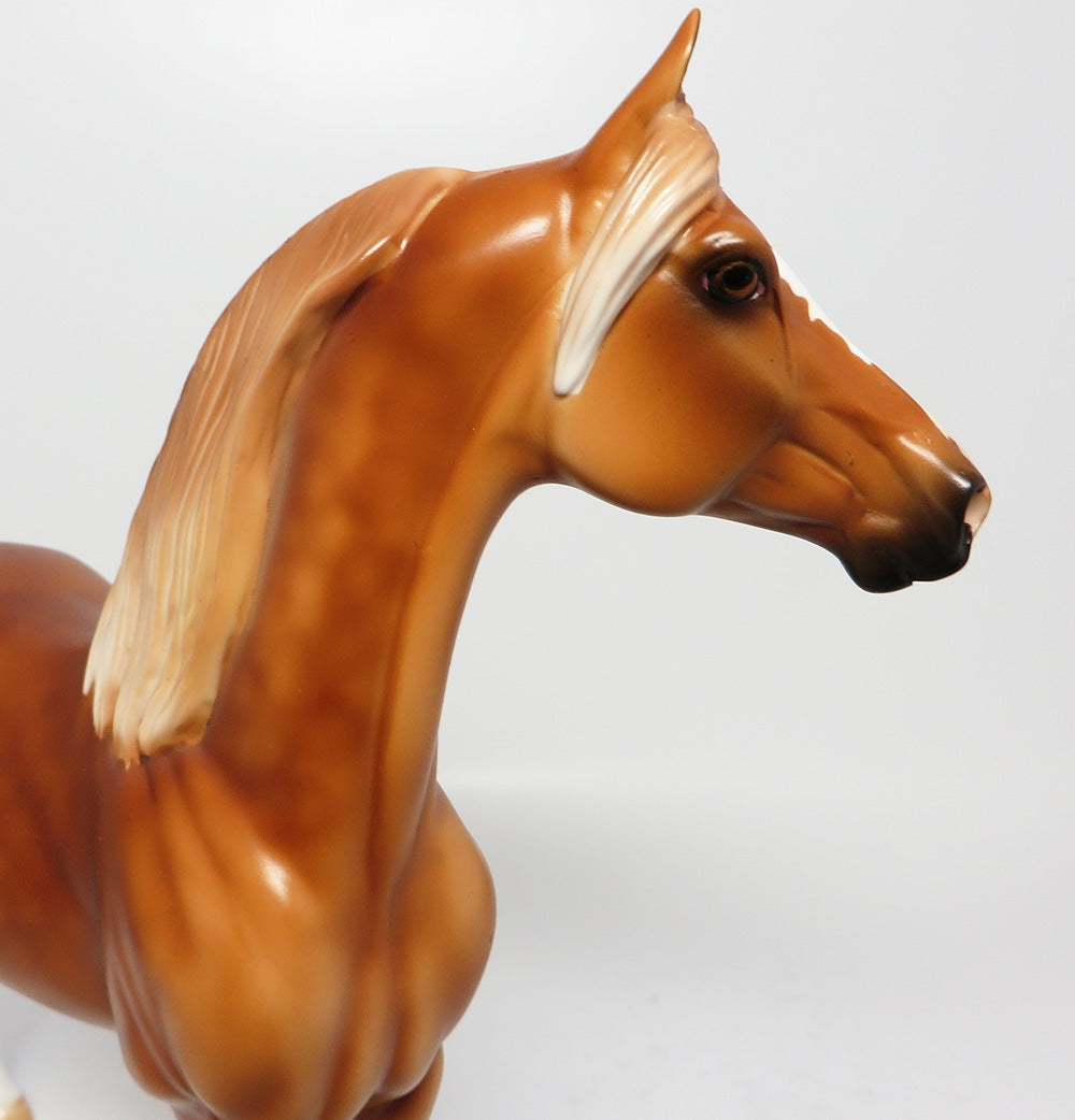 CEDAR BREAKS-LE-3 GLOSSY FINISHED DAPPLE CHESTNUT  MORGAN HORSE EQ 2017