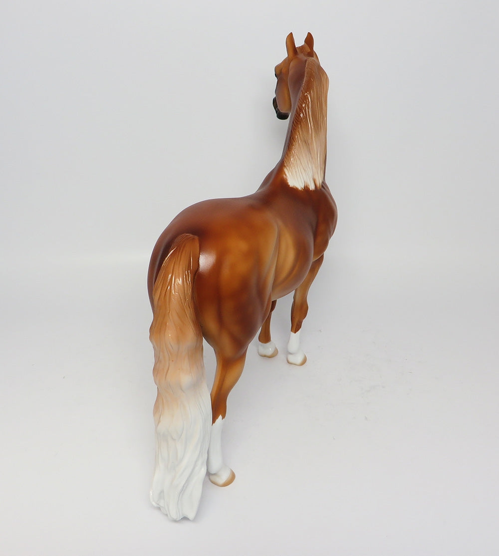 CEDAR BREAKS-LE-3 GLOSSY FINISHED DAPPLE CHESTNUT  MORGAN HORSE EQ 2017