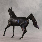 Celestine OOAK FCM Arabian Mare by Julie Keim VV26