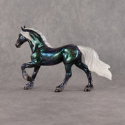 Cephei OOAK Chip Friesian by Ellen Robbins SCD26