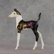 Chameleon OOAK Arabian Foal by Anna Rieck VV26