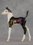 Chameleon OOAK Arabian Foal by Anna Rieck VV26