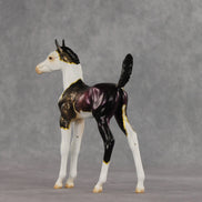 Chameleon OOAK Arabian Foal by Anna Rieck VV26