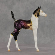 Chameleon OOAK Arabian Foal by Anna Rieck VV26