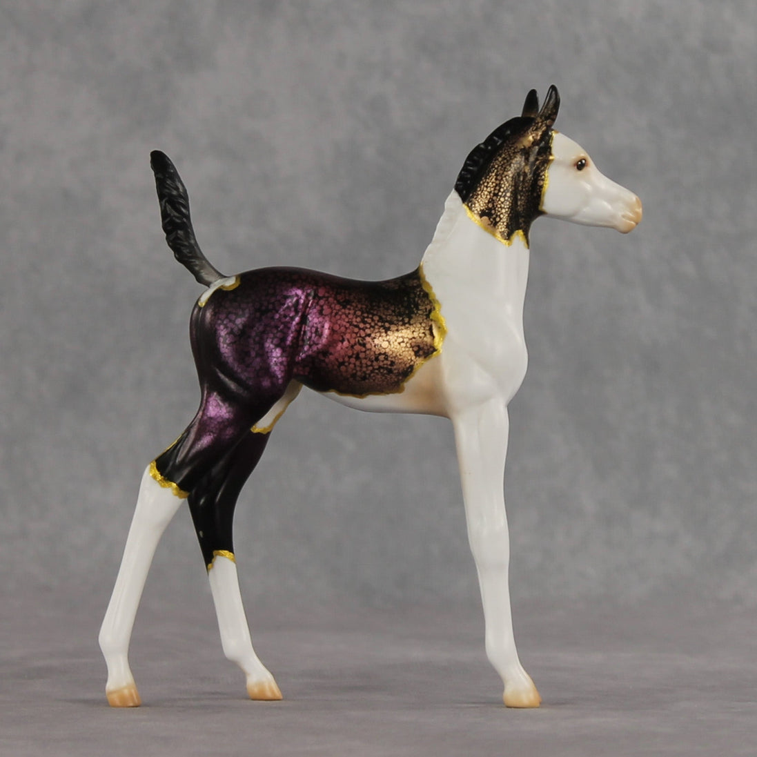 Chameleon OOAK Arabian Foal by Anna Rieck VV26