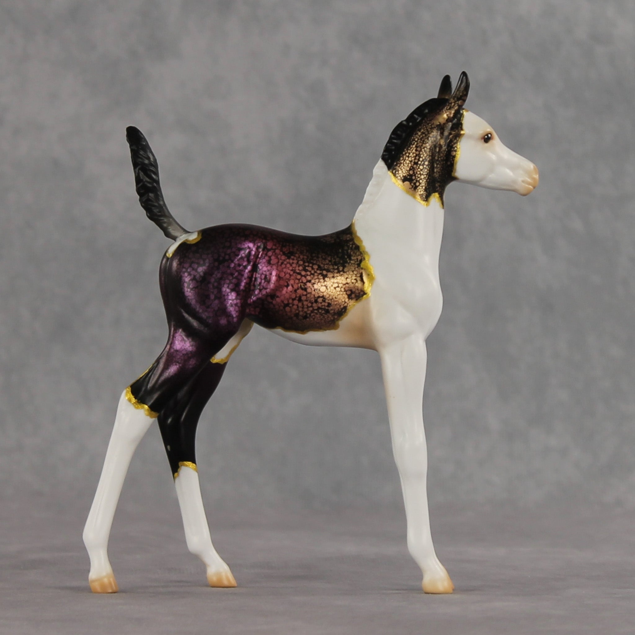 Chameleon OOAK Arabian Foal by Anna Rieck VV26