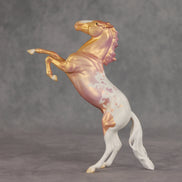 Champs OOAK Pebble Mustang by Jess Hamill VV26
