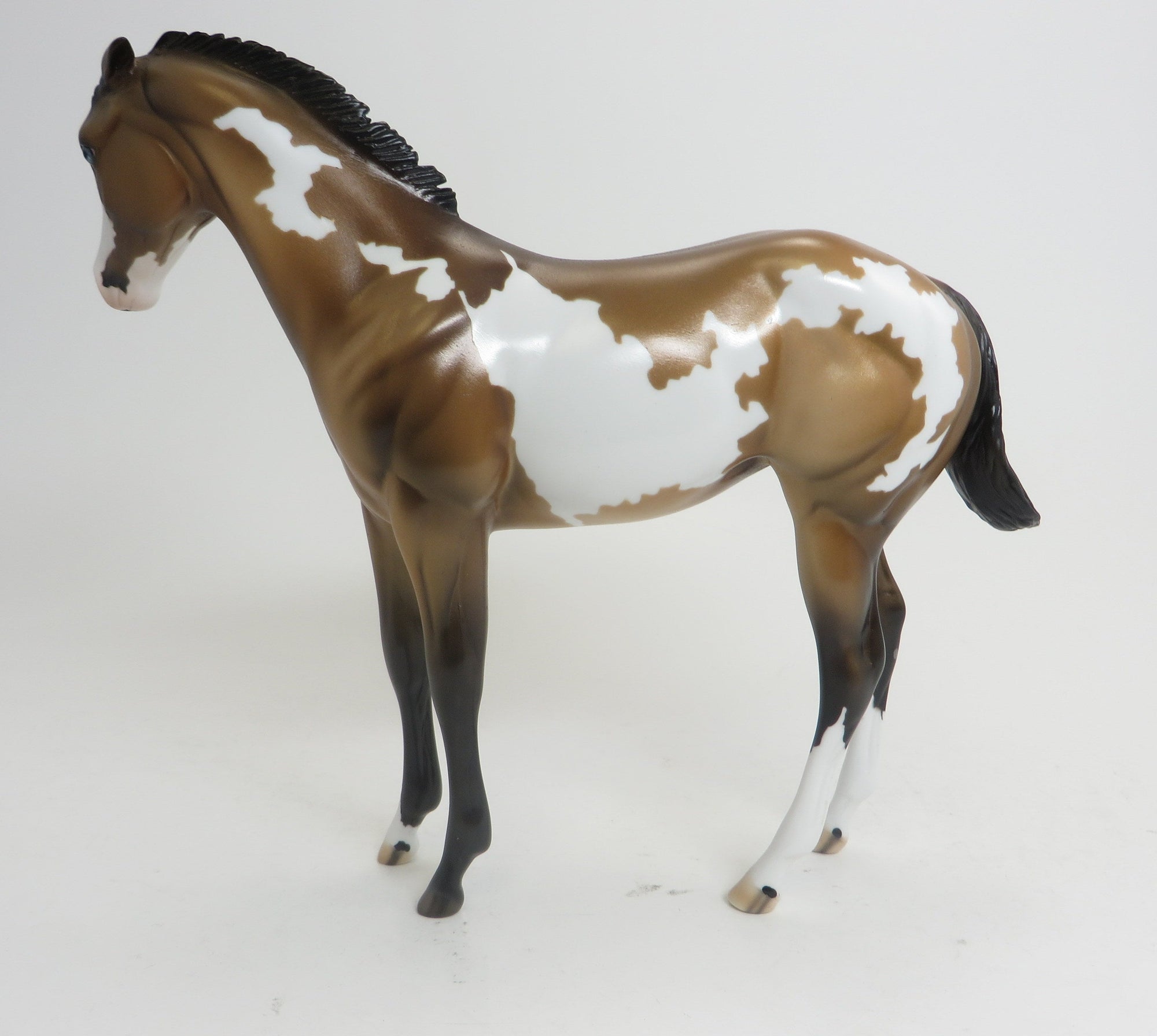 OOAK Paint Weanling
