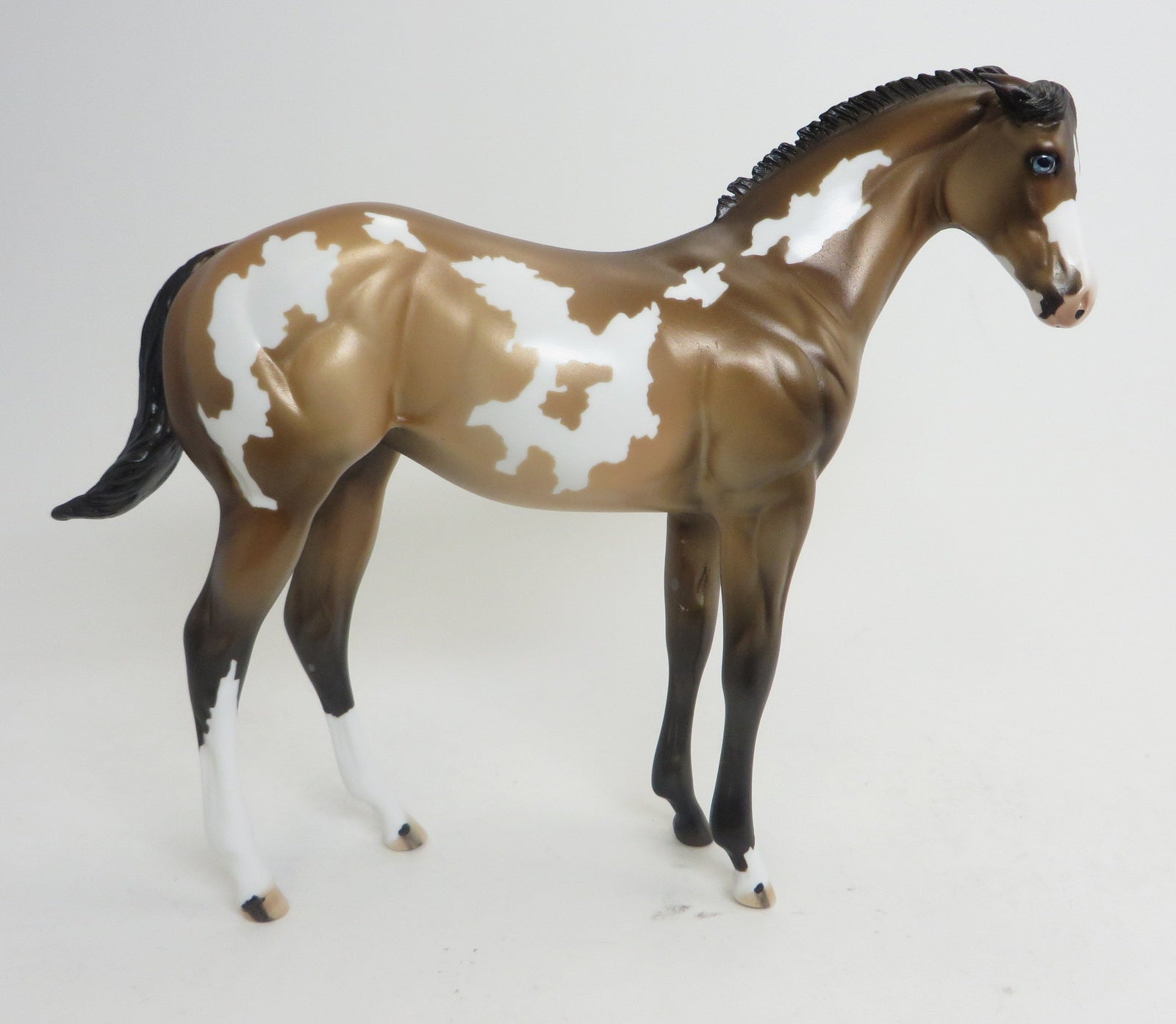 Weanling Model Horse