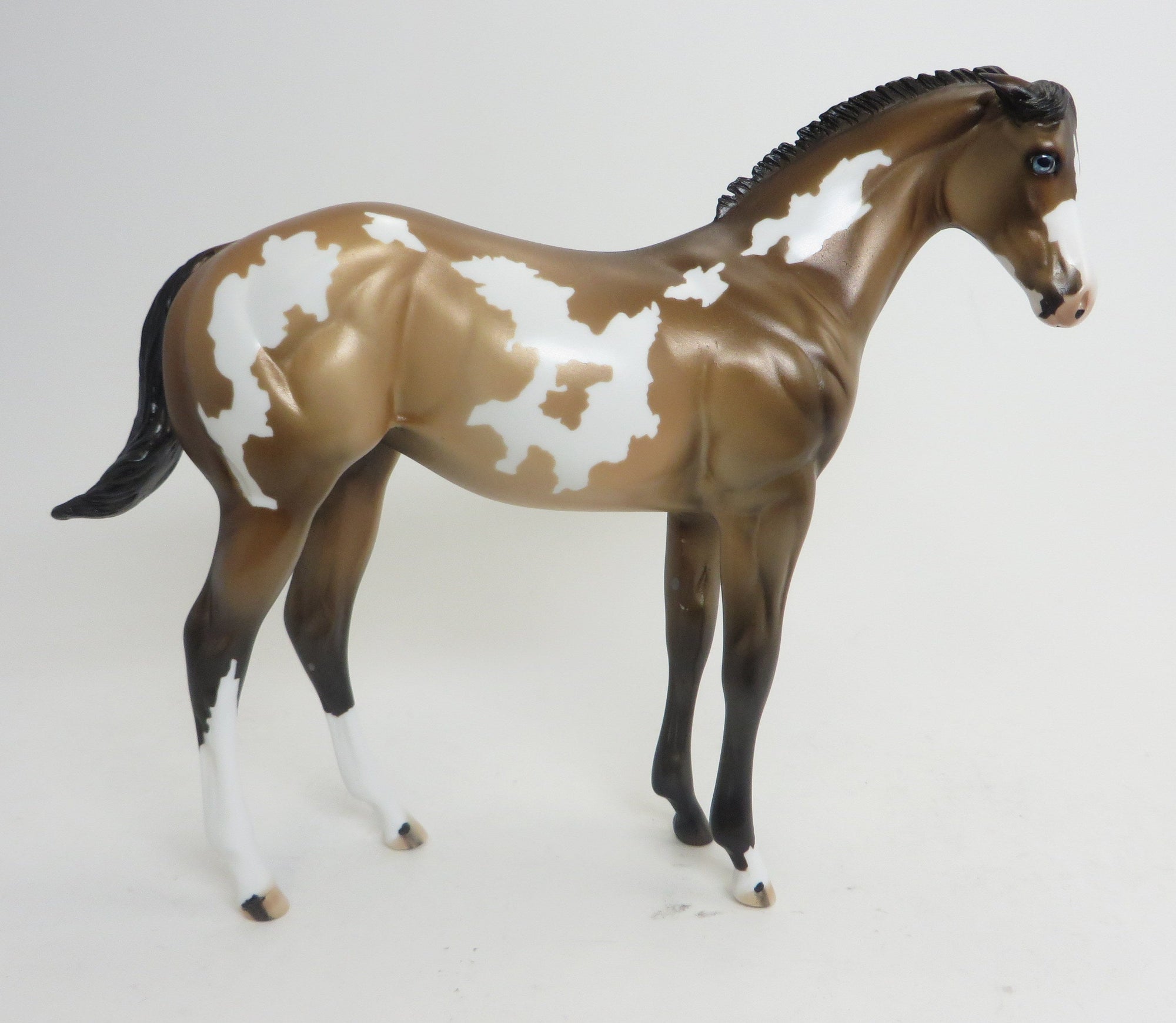 Weanling Model Horse