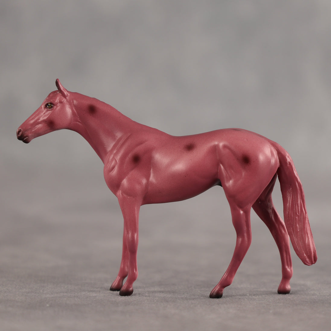 Cherry OOAK Chip Thoroughbred by Dawn Quick SCD26