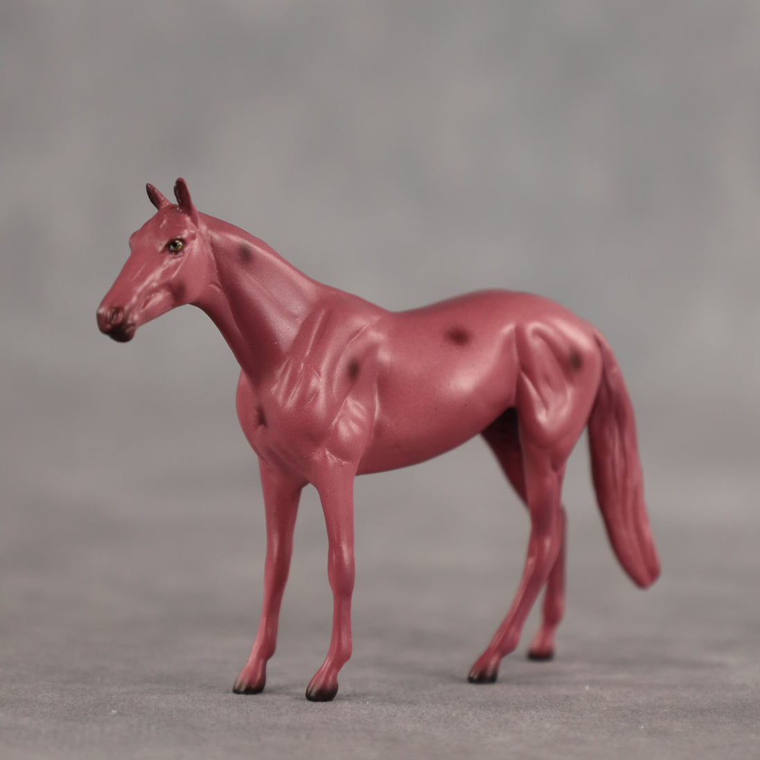 Cherry OOAK Chip Thoroughbred by Dawn Quick SCD26