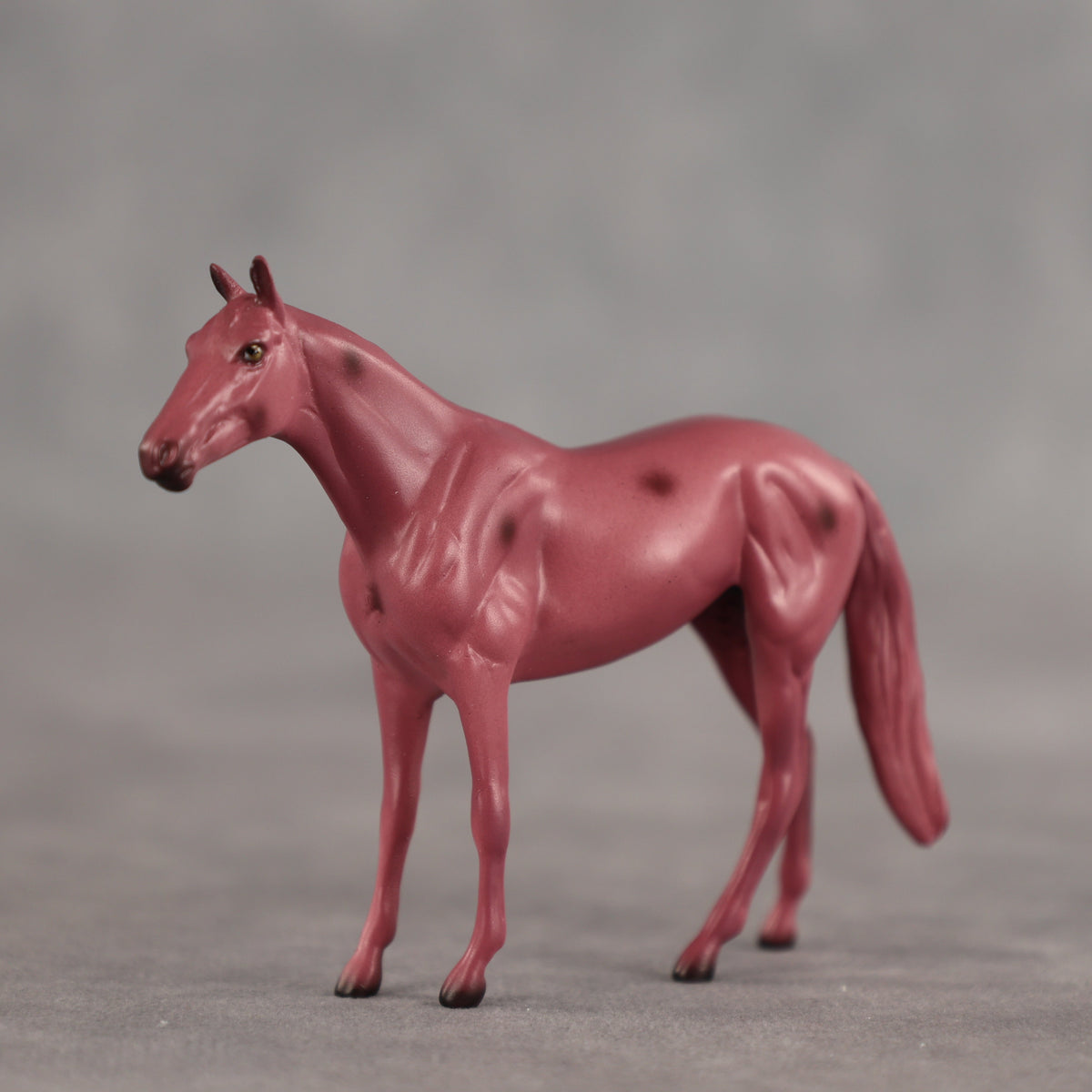 Cherry OOAK Chip Thoroughbred by Dawn Quick SCD26