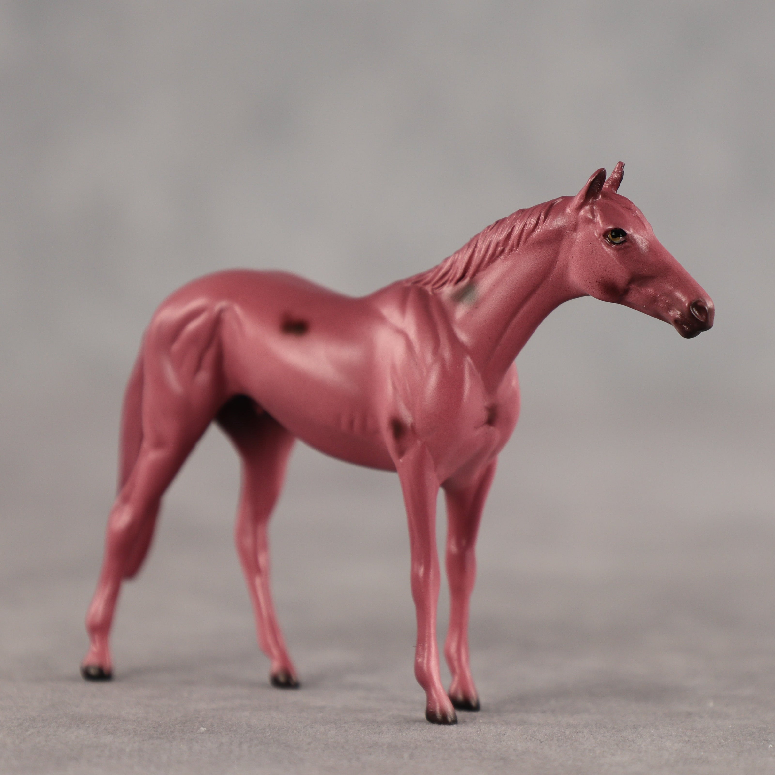 Cherry OOAK Chip Thoroughbred by Dawn Quick SCD26