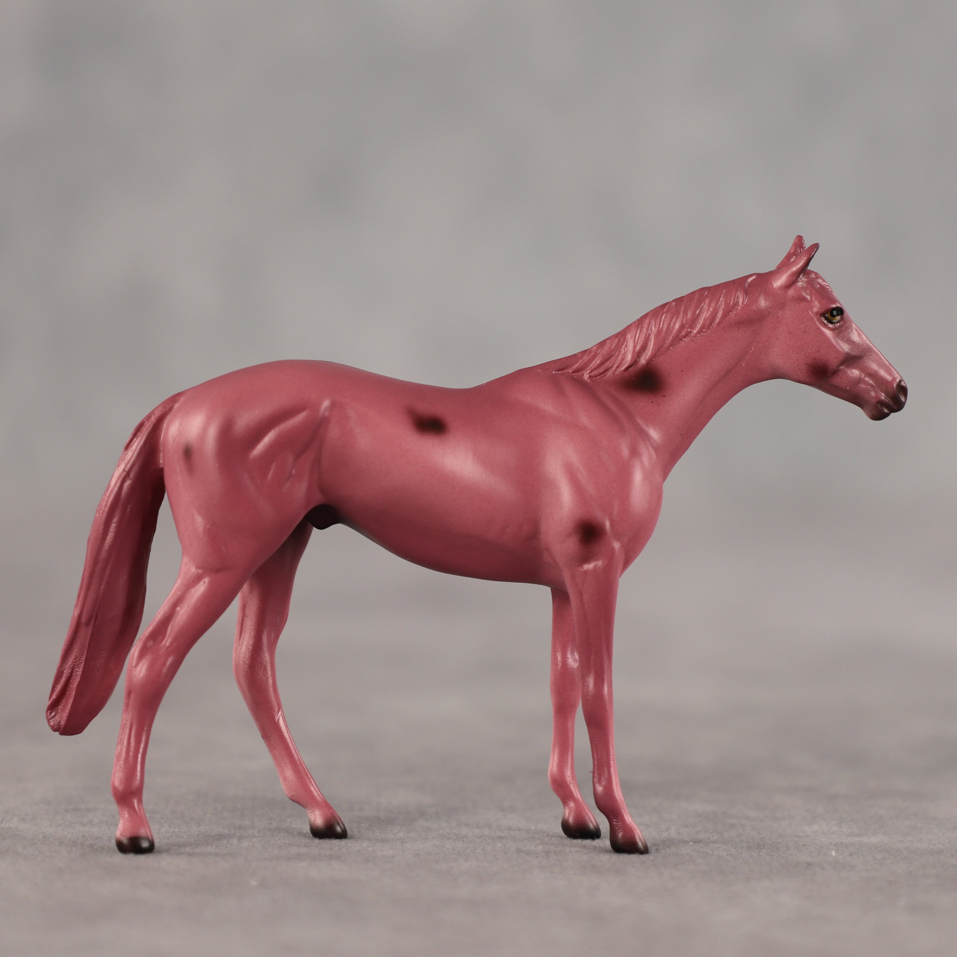 Cherry OOAK Chip Thoroughbred by Dawn Quick SCD26