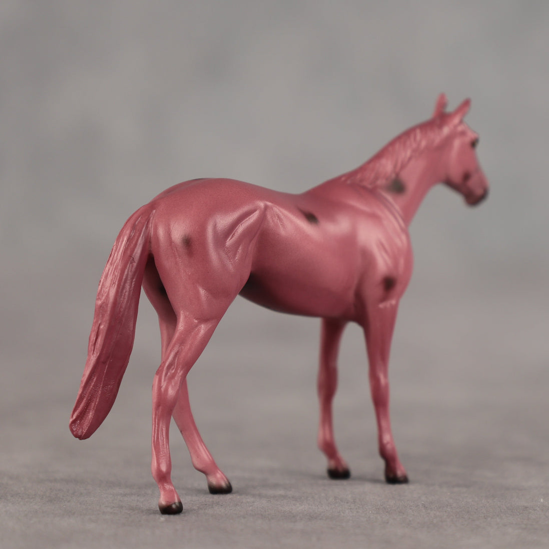 Cherry OOAK Chip Thoroughbred by Dawn Quick SCD26