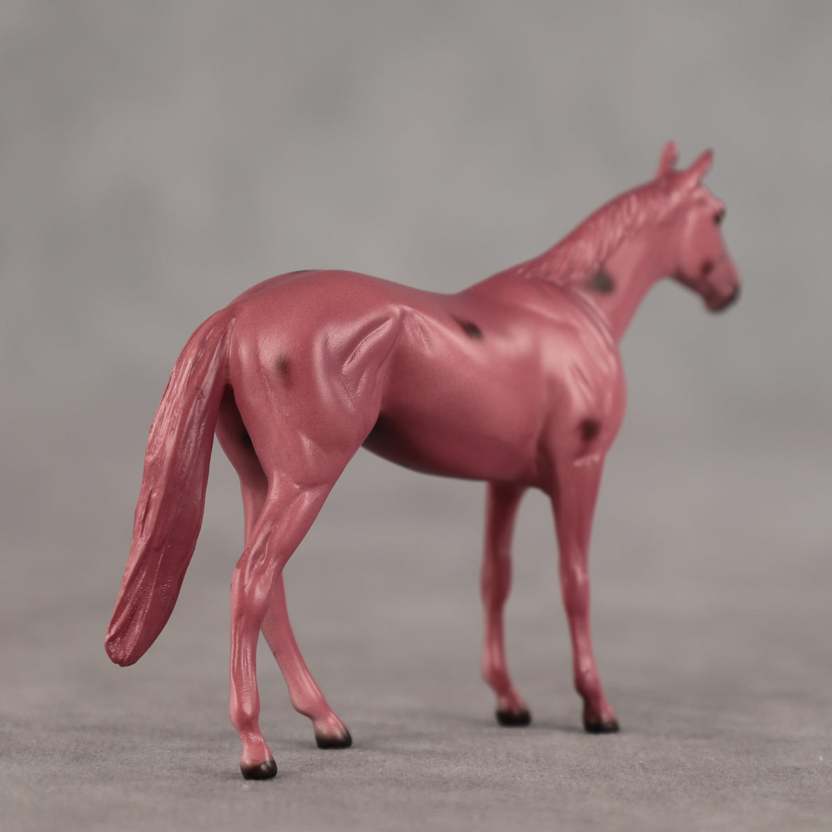 Cherry OOAK Chip Thoroughbred by Dawn Quick SCD26