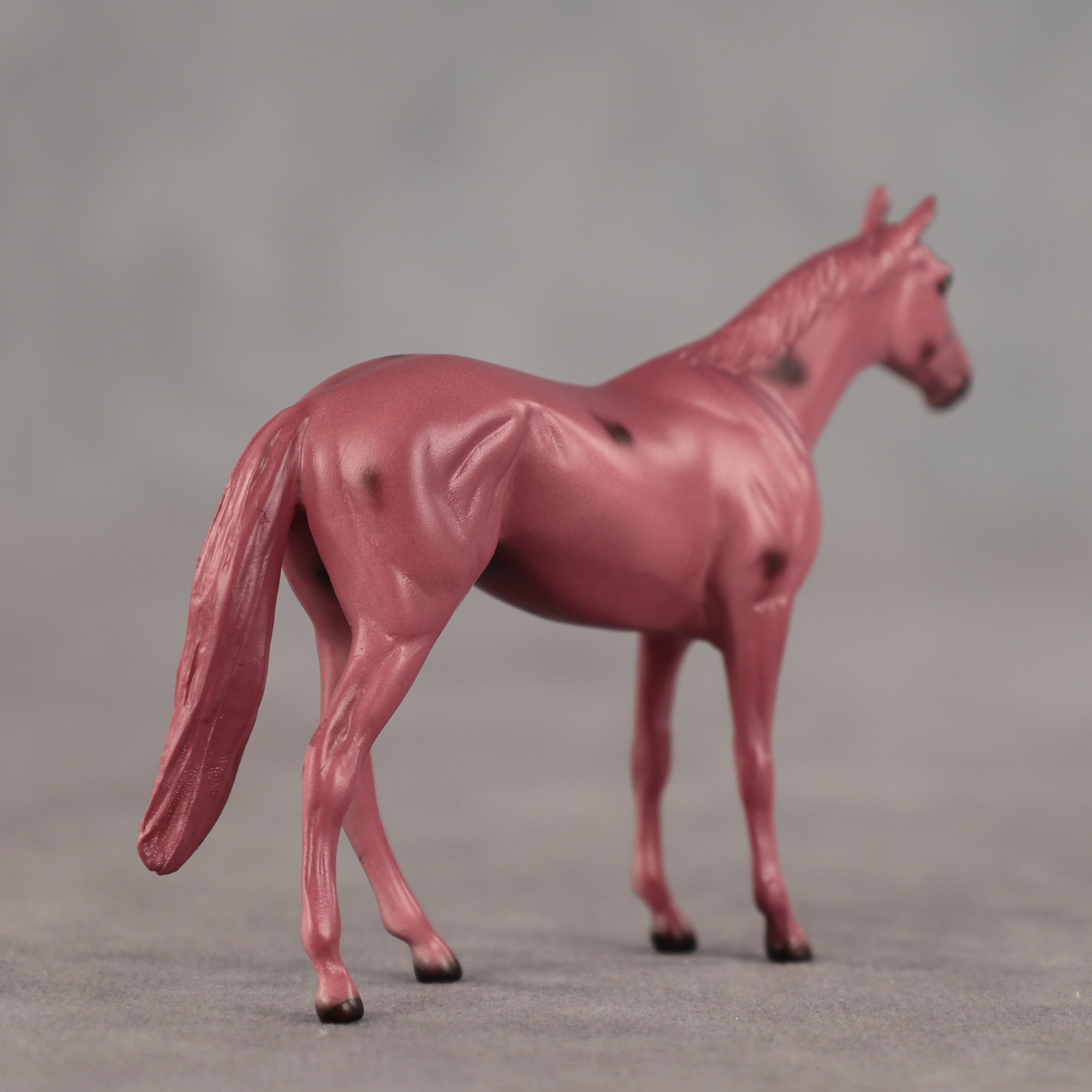 Cherry OOAK Chip Thoroughbred by Dawn Quick SCD26