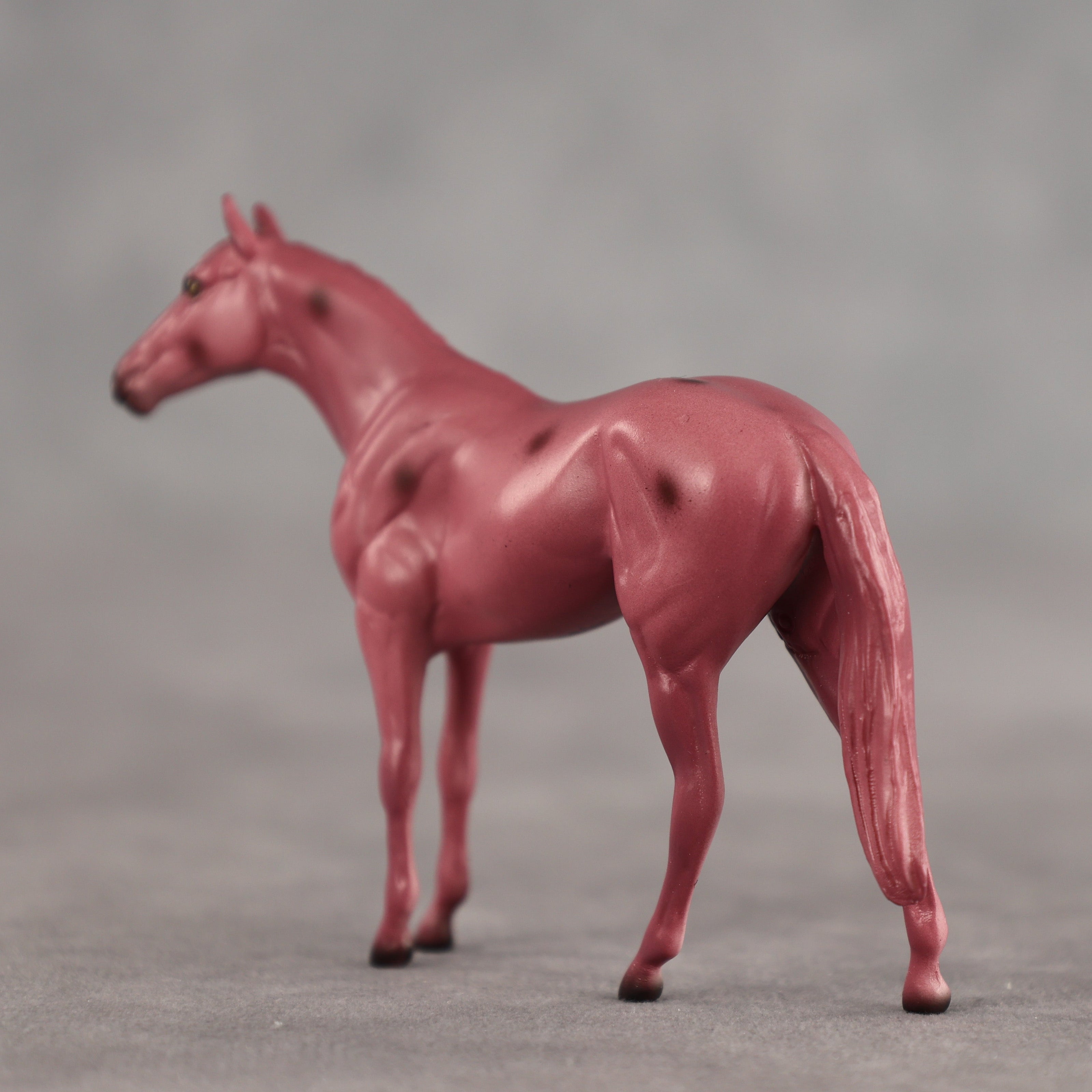 Cherry OOAK Chip Thoroughbred by Dawn Quick SCD26