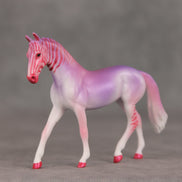 Cherry Berry OOAK Chip Warmblood by Jess Hamill VV26