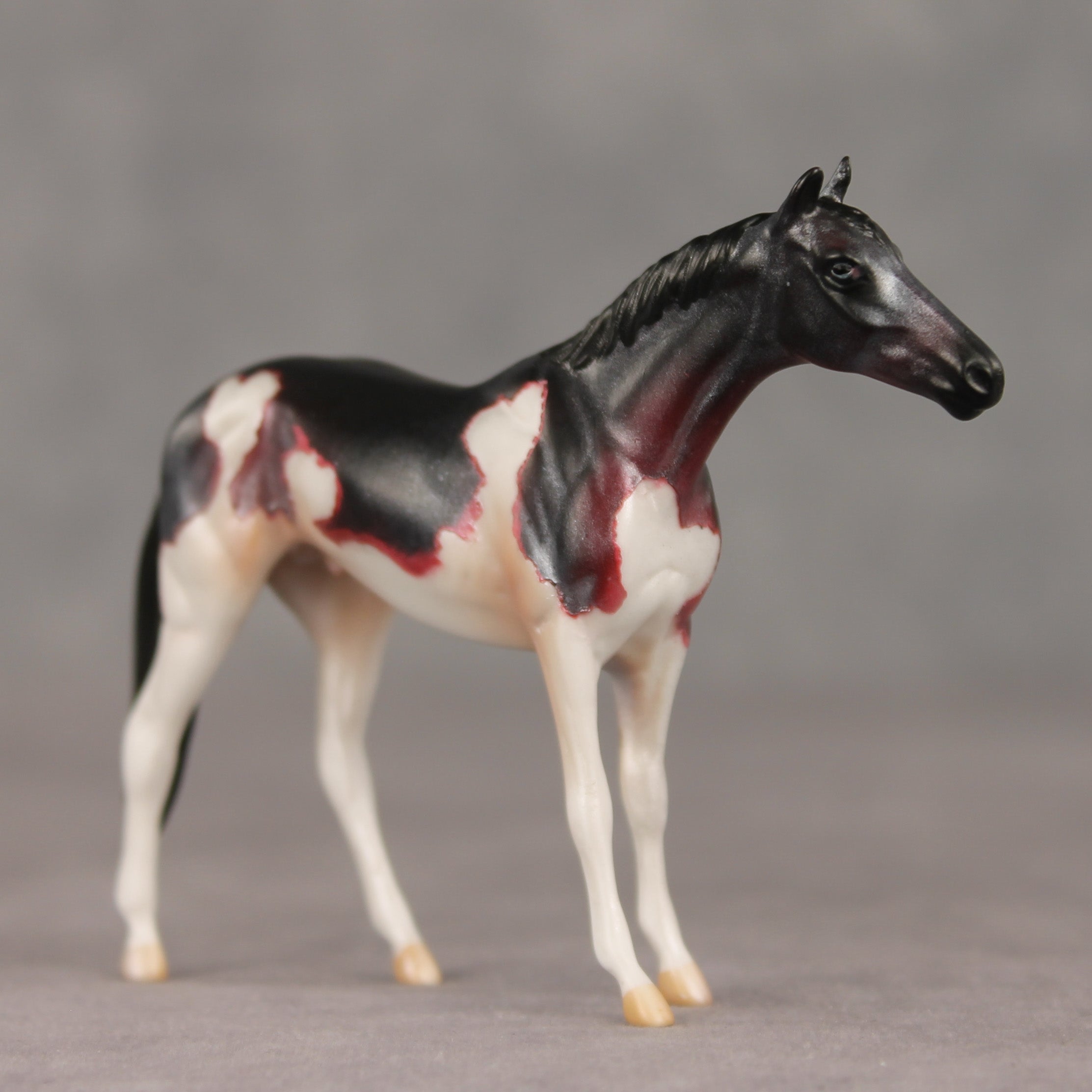Cherry Cordial OOAK Chip Thoroughbred  by Anna Rieck VV26