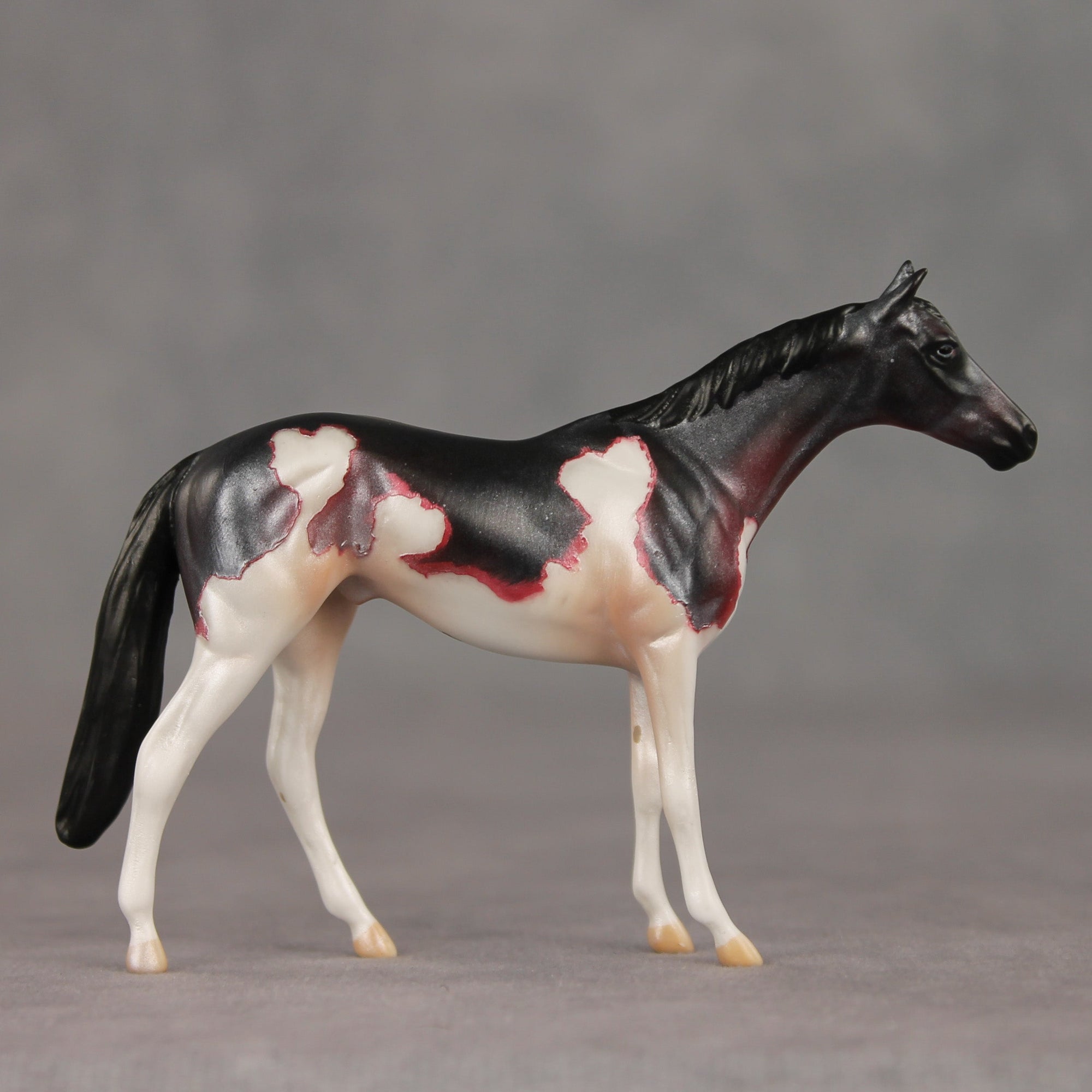 Cherry Cordial OOAK Chip Thoroughbred  by Anna Rieck VV26