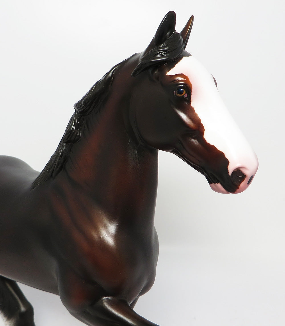 CHICKSAW-OOAK DARK DAPPLE BAY TROTTING DRAFTER EQ 2017