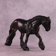 Chocolate Sugar Cookie OOAK FCM Irish Cob by Anna Rieck HS25
