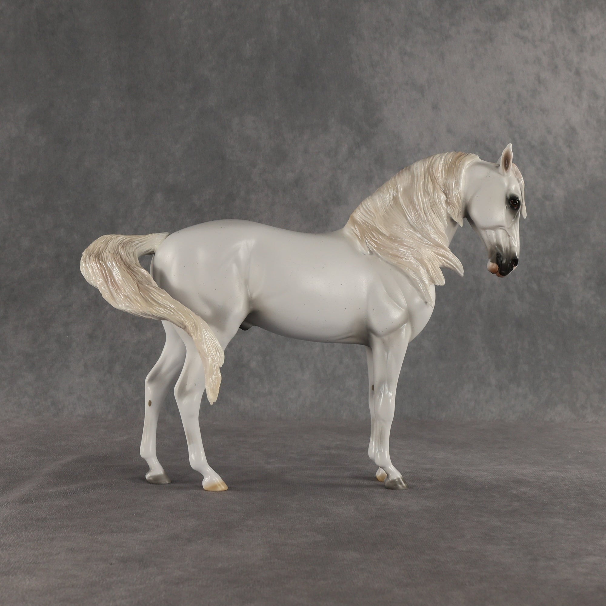 SAMPLE Cielo LE-10 FCM Andalusian by Ashley Palmer SS0826