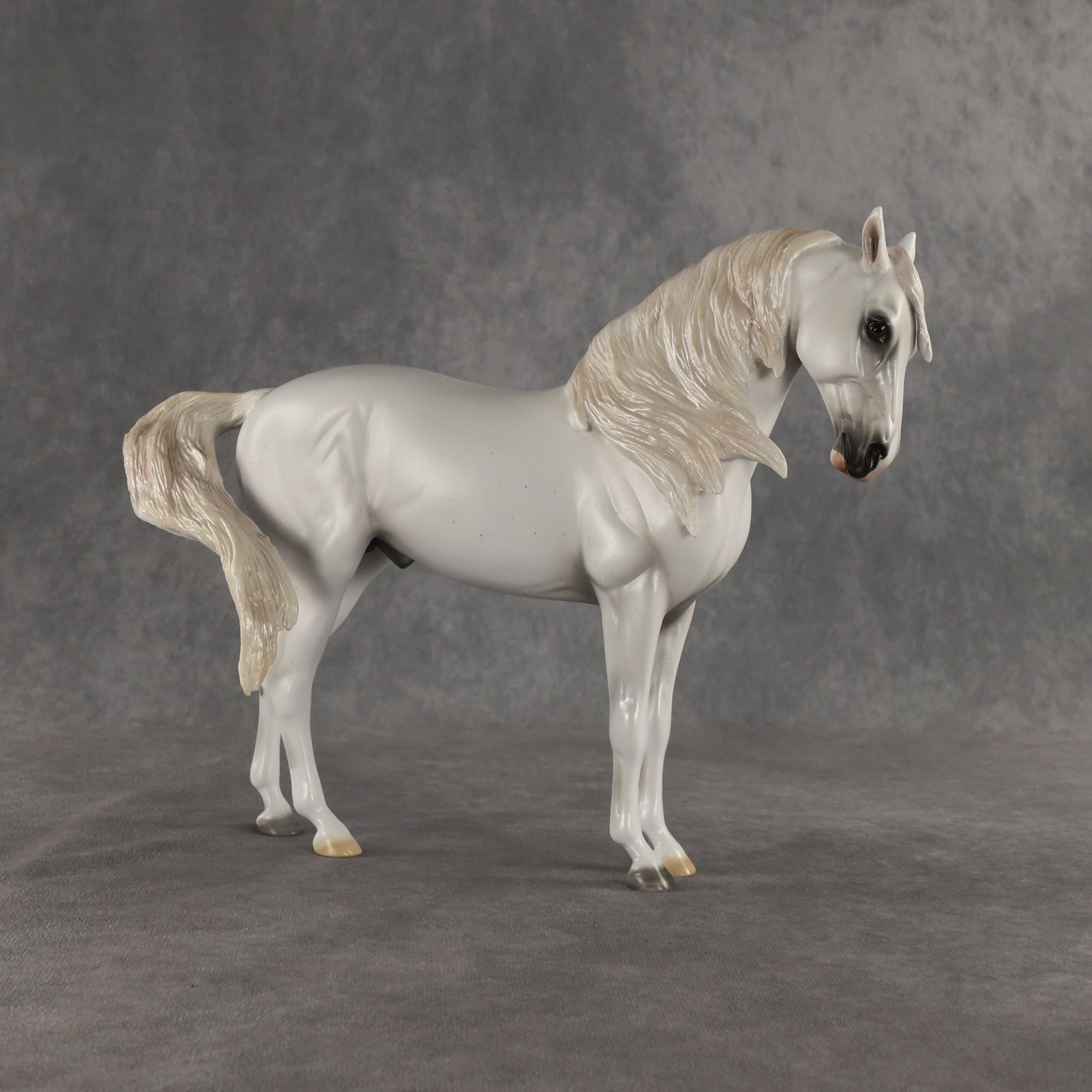 SAMPLE Cielo LE-10 FCM Andalusian by Ashley Palmer SS0826