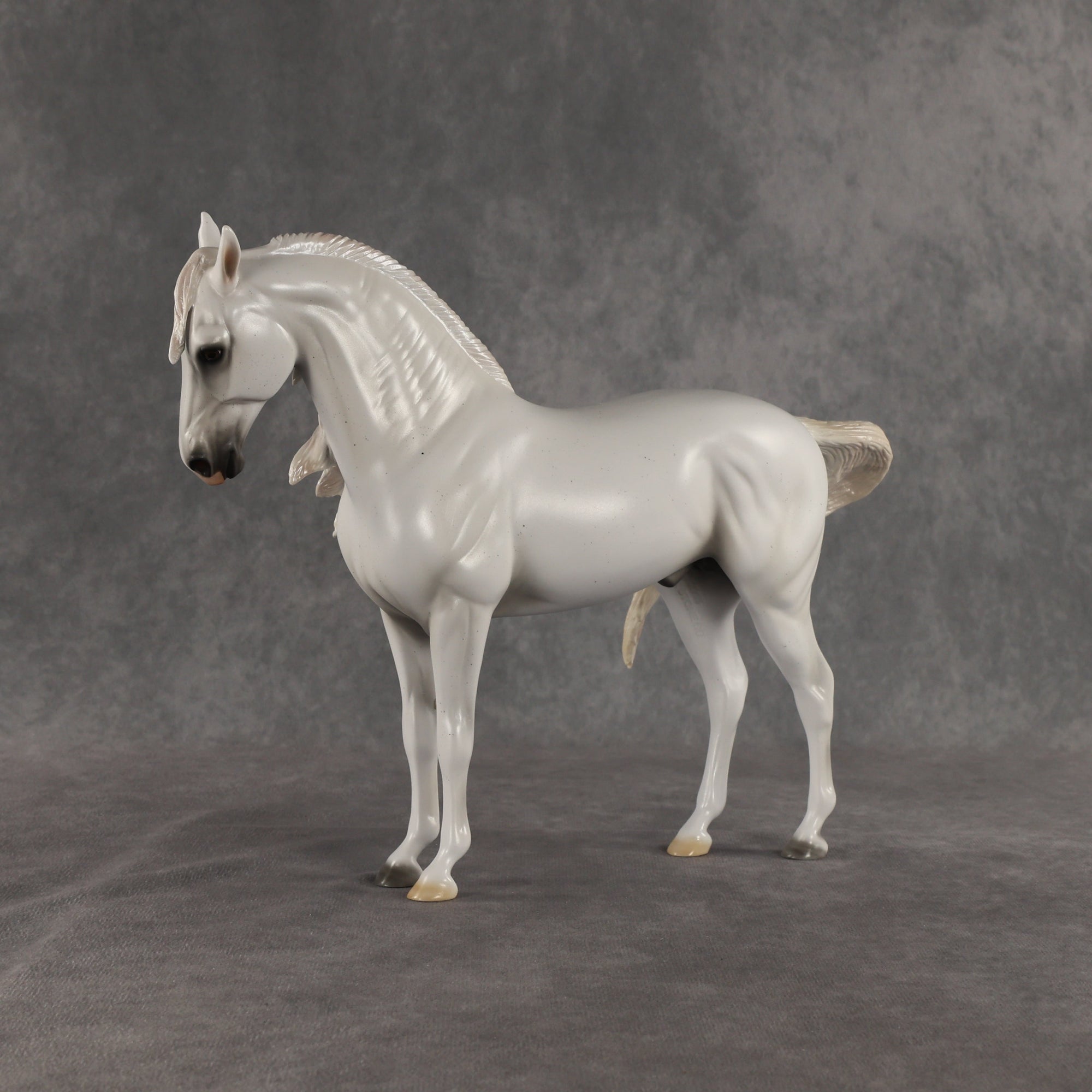 SAMPLE Cielo LE-10 FCM Andalusian by Ashley Palmer SS0826