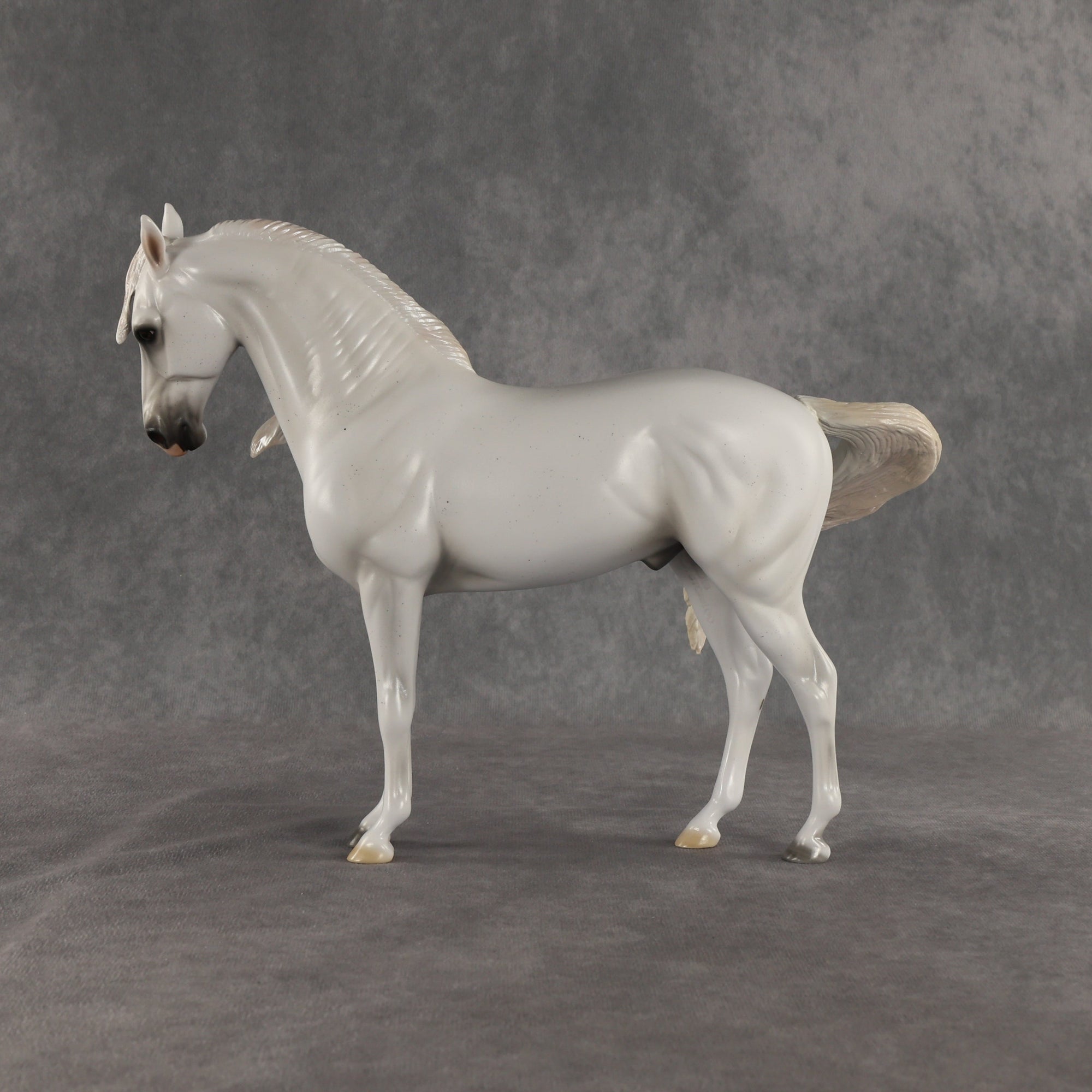 SAMPLE Cielo LE-10 FCM Andalusian by Ashley Palmer SS0826