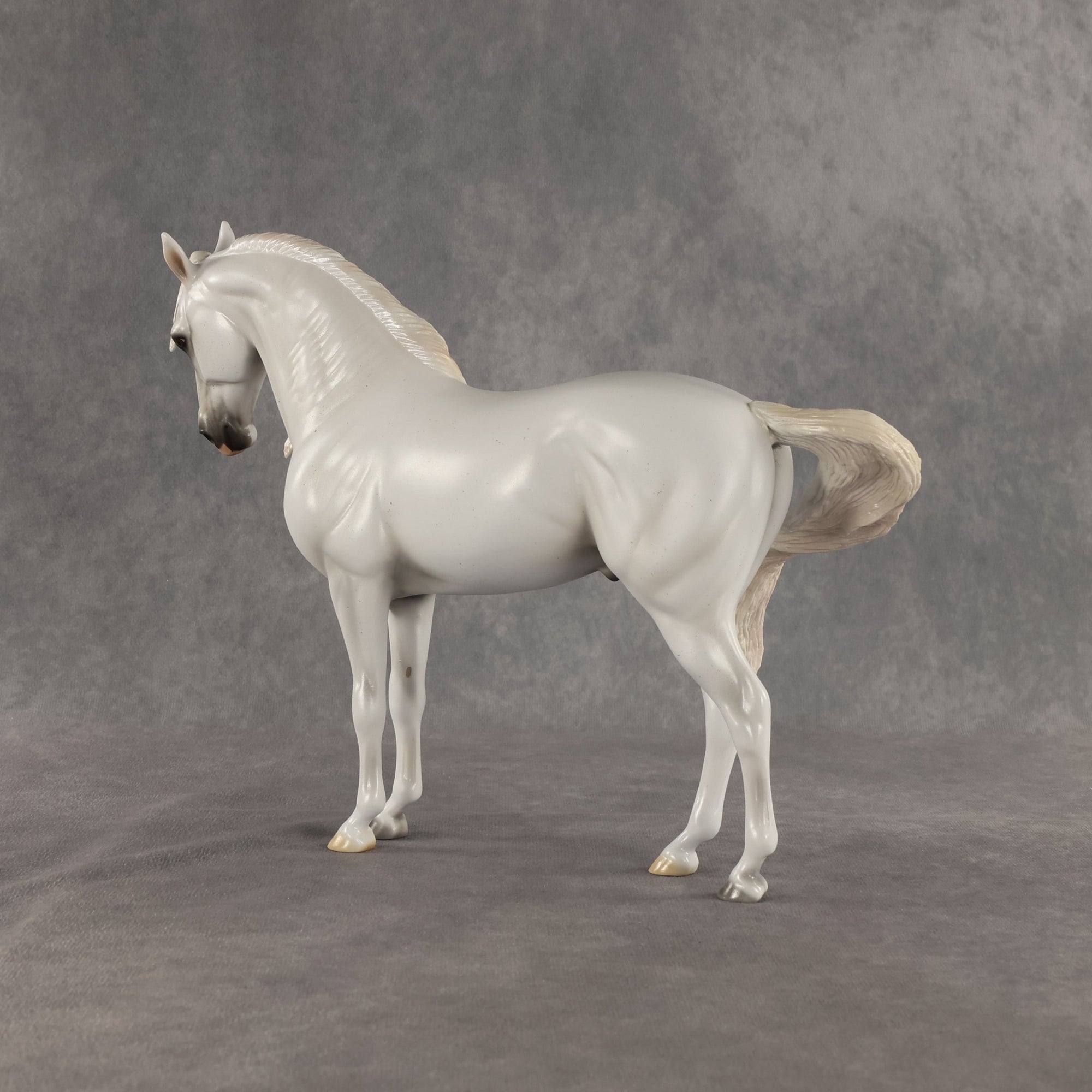 SAMPLE Cielo LE-10 FCM Andalusian by Ashley Palmer SS0826