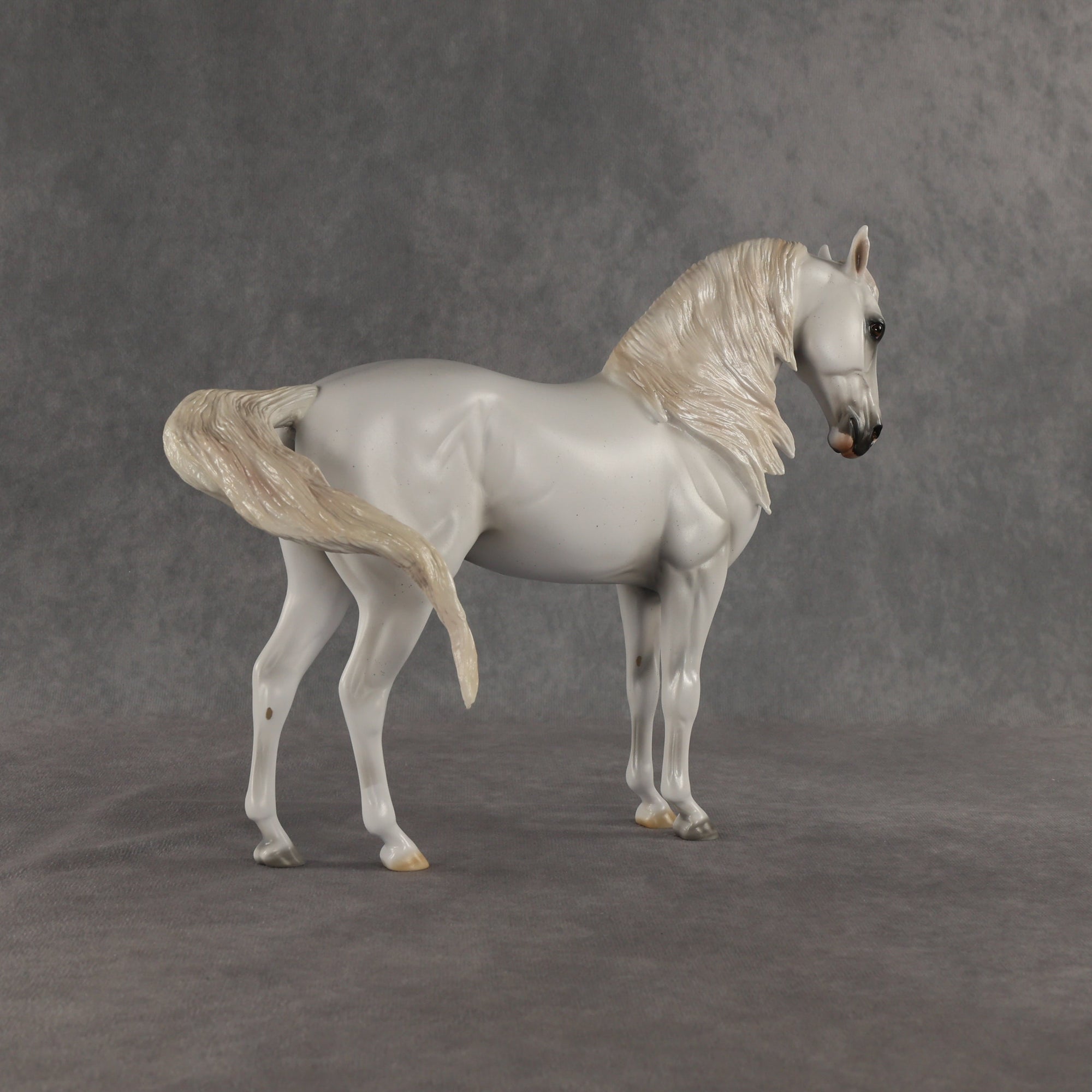 SAMPLE Cielo LE-10 FCM Andalusian by Ashley Palmer SS0826