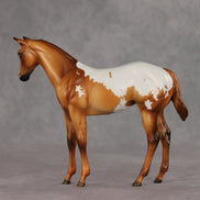 Cinnamon Stick OOAK Stock Horse Weanling by Julie Keim VV26