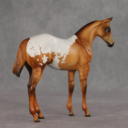 Cinnamon Stick OOAK Stock Horse Weanling by Julie Keim VV26