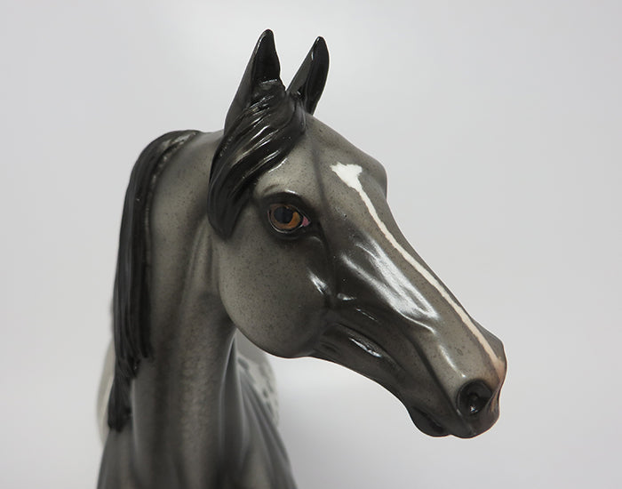 CLARKE-OOAK GREY ROAN MORGAN MODEL HORSE 8/4
