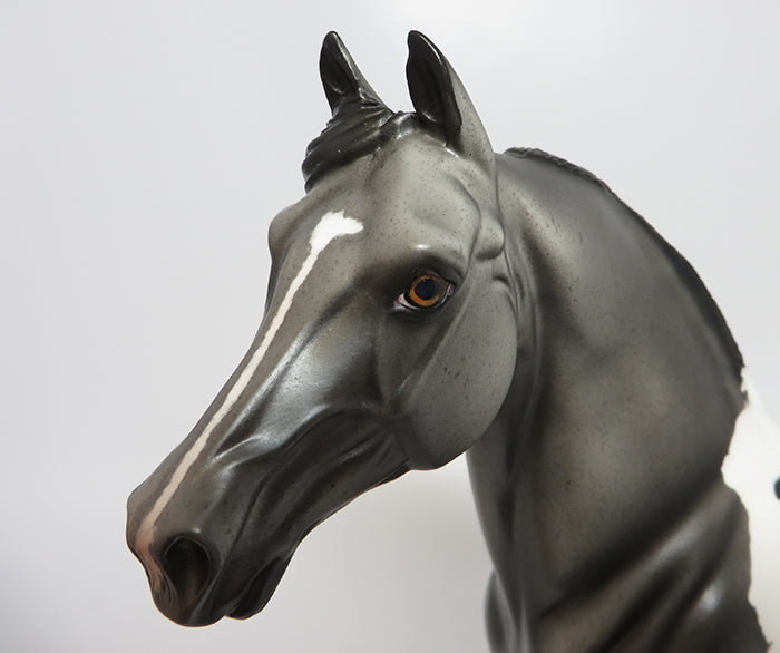 CLARKE-OOAK GREY ROAN MORGAN MODEL HORSE 8/4