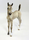 FOAL
