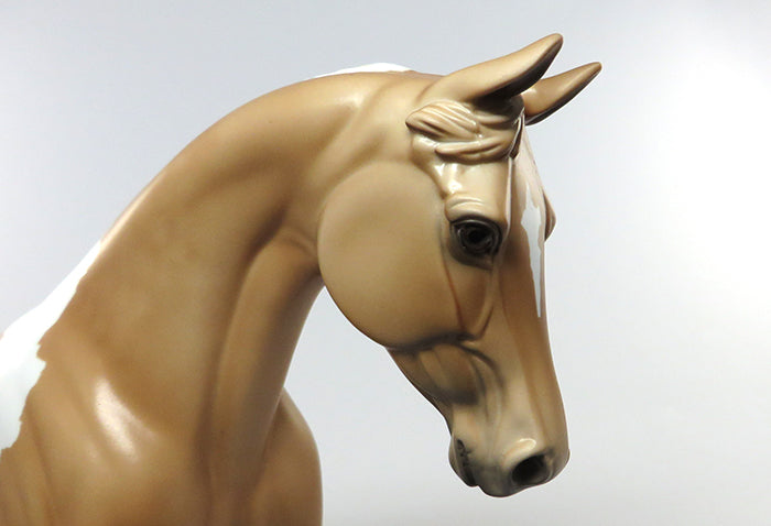 CLEVER ELSIE-LE-8 PALOMINO PAINT MODEL HORSE EQ 2016