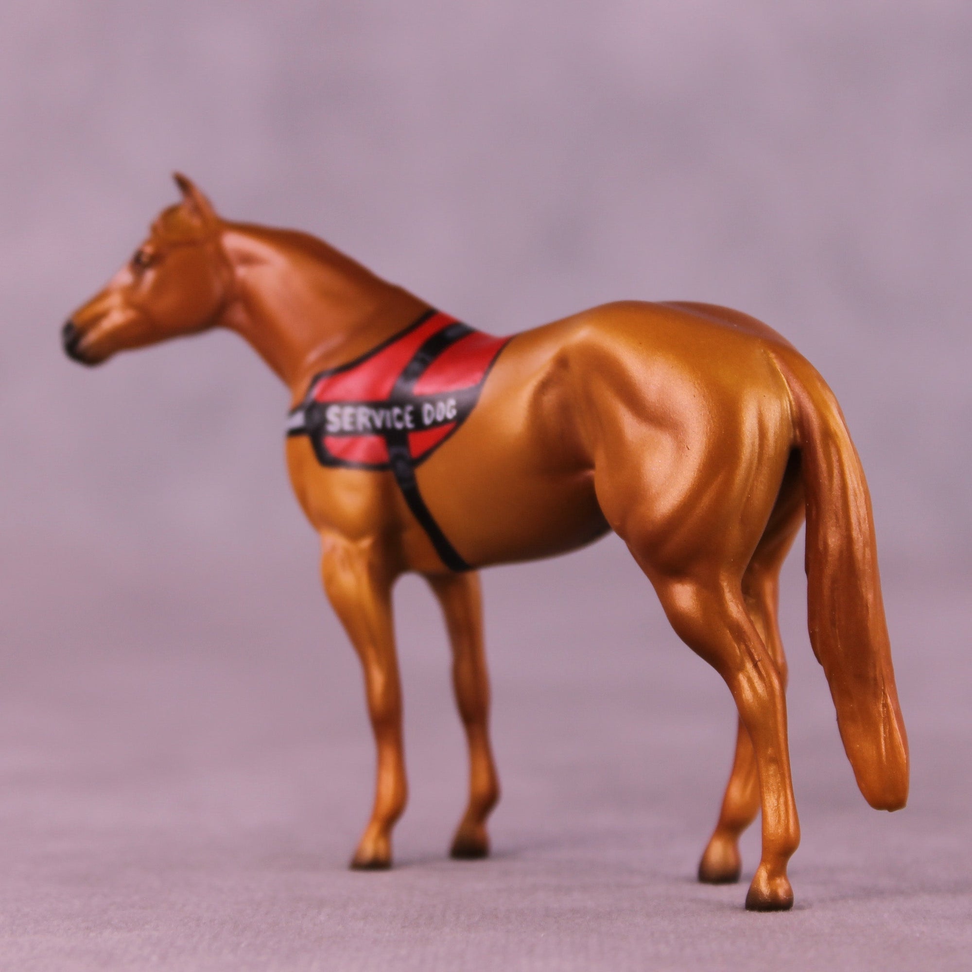 Clifford OOAK Chip Stock Horse by Jess Hamill MS25