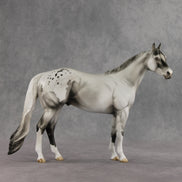 Cloud of Smoke OOAK Ideal Stock Horse by Jess Hamill VV26