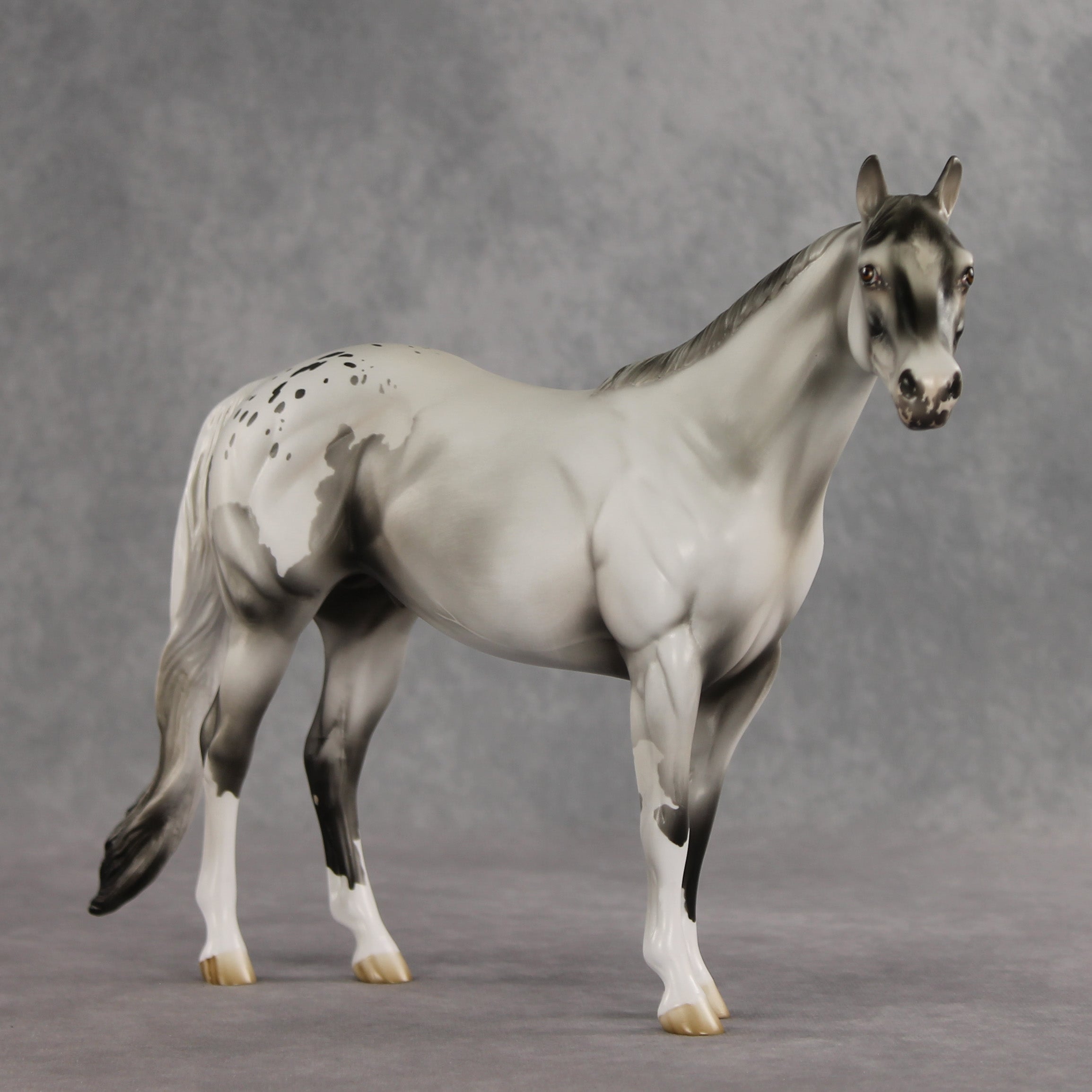 Cloud of Smoke OOAK Ideal Stock Horse by Jess Hamill VV26